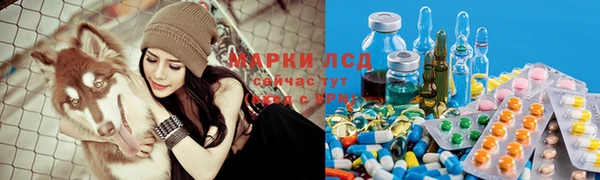 стафф Горняк