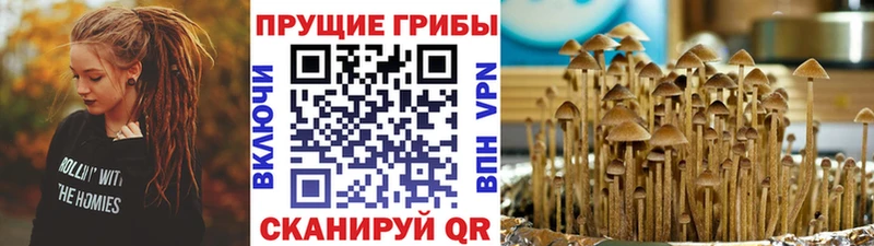 Галлюциногенные грибы мицелий  Томмот 